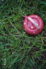 Gold and Silver Painted Small Daisy Hawthorn Red Rock Clay Chrysanthemum Petal Teapot - Image 7