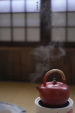 Hawthorn Red Rock Clay Chrysanthemum Petal Teapot - Image 5