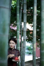 Hawthorn Red Rock Clay Golden Bamboo Nine-sided Small Teapot - Image 7