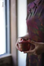 Hawthorn Red Rock Clay Golden Pine Gaiwan - Image 2