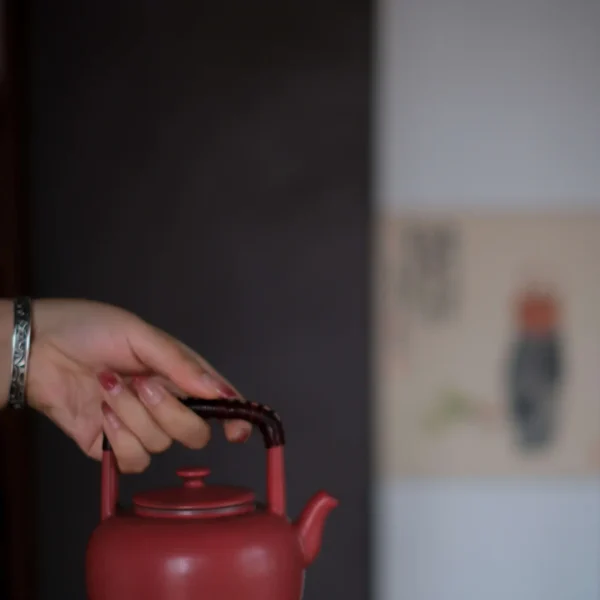 Hawthorn Red Small Wujing Handle Teapot