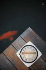 Kohiki Engraved Poetry Mist Teapot - Image 3