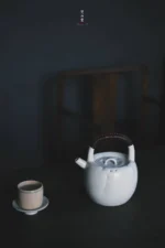 Soda Glaze First Snow Teapot