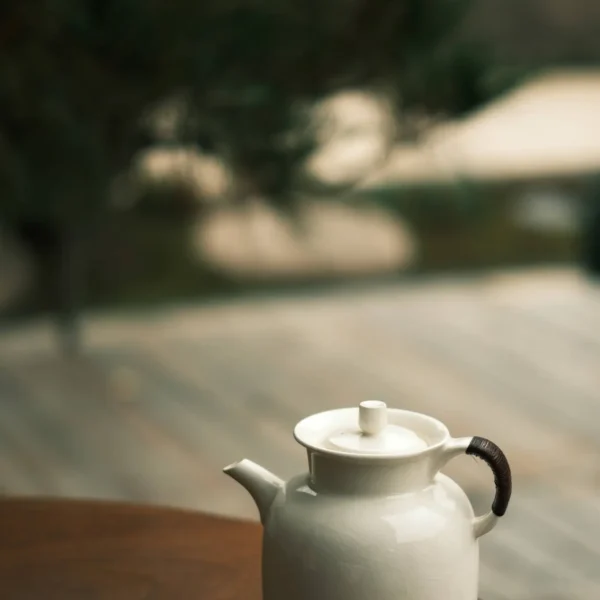 Soda Glaze Plain Luyu Ewer