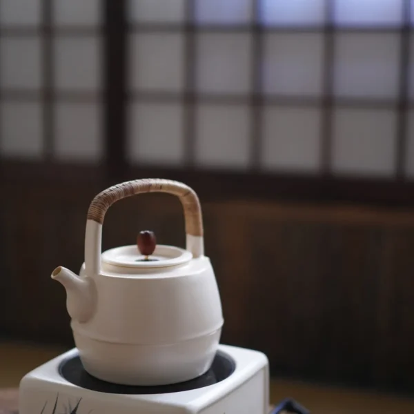 Soda Glaze Wenqu Teapot