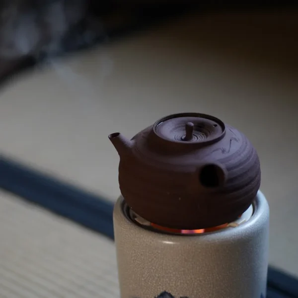 Zisha Side-handle Teapot 1